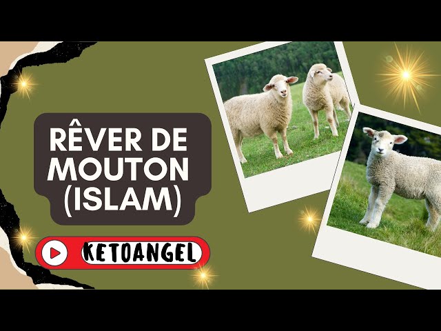 'Video thumbnail for Rêver de mouton:  signification et interprétation en islam selon les croyances spirituelles'