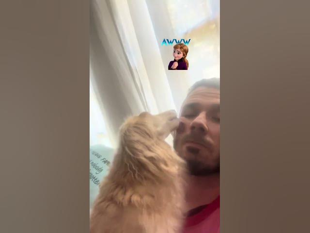 Video thumbnail for Trying to work on my podcast and my dachshund Winnie does this