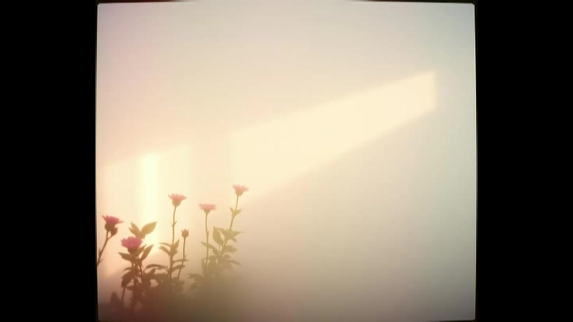 Video thumbnail for In my eyes you're painted bright