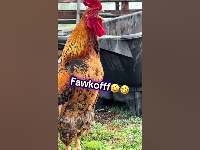 Video thumbnail for 9 June 2025