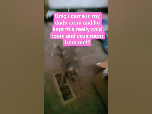 Video thumbnail for how couId he!?