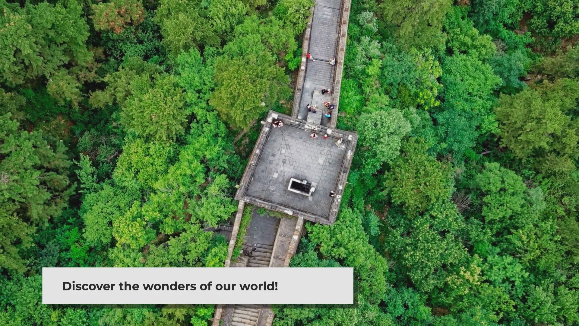 'Video thumbnail for Surprising Facts About Our Planet: From Immortal Jellyfish to Hidden Wonders'