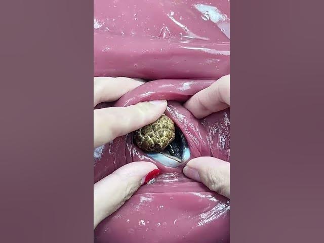 Video thumbnail for Dig out the hidden toys and release stress together with the decompression video  Crystal slime