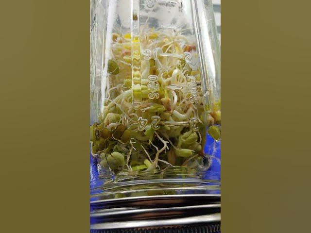 Video thumbnail for Sprouts & Microgreens