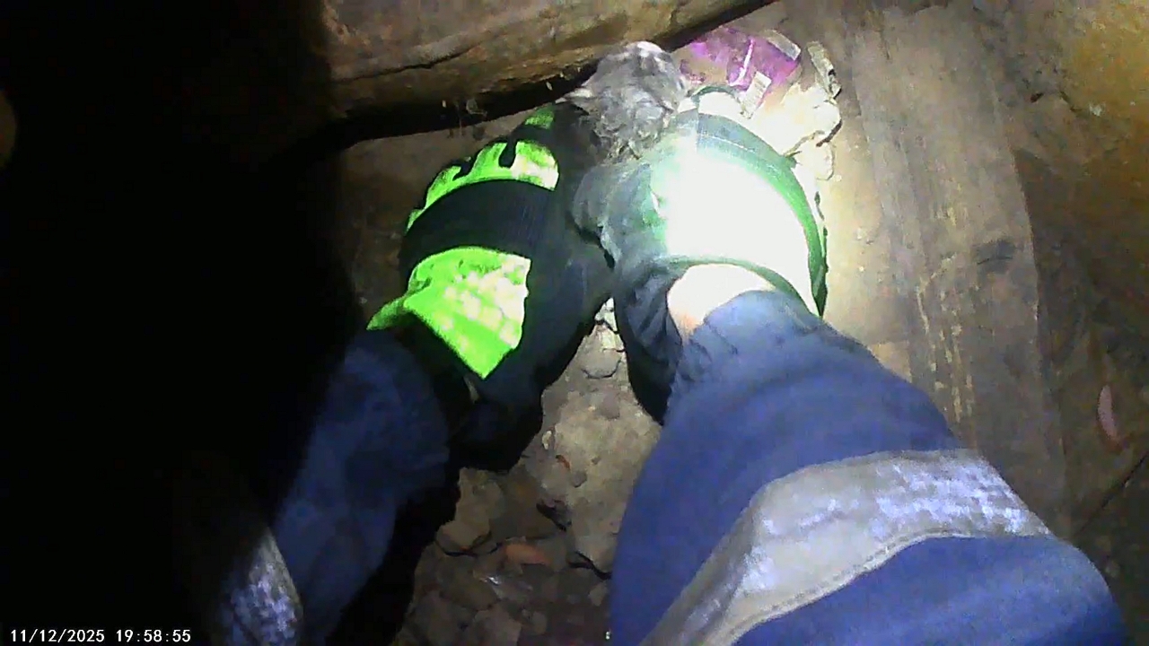 Video thumbnail for Rescuing Newborn Kittens from a Heating Chamber in Russia