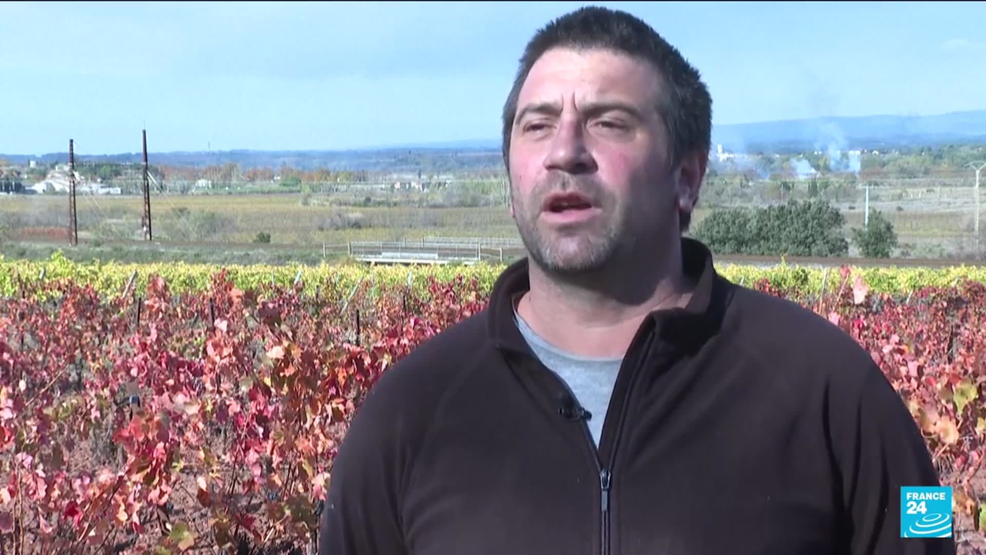 'Video thumbnail for Tariffs, climate change, energy prices... tough times for France's winemakers'