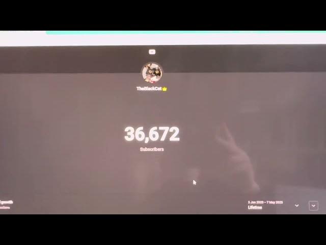 Video thumbnail for my cat might hit 40k soon 😨🥳