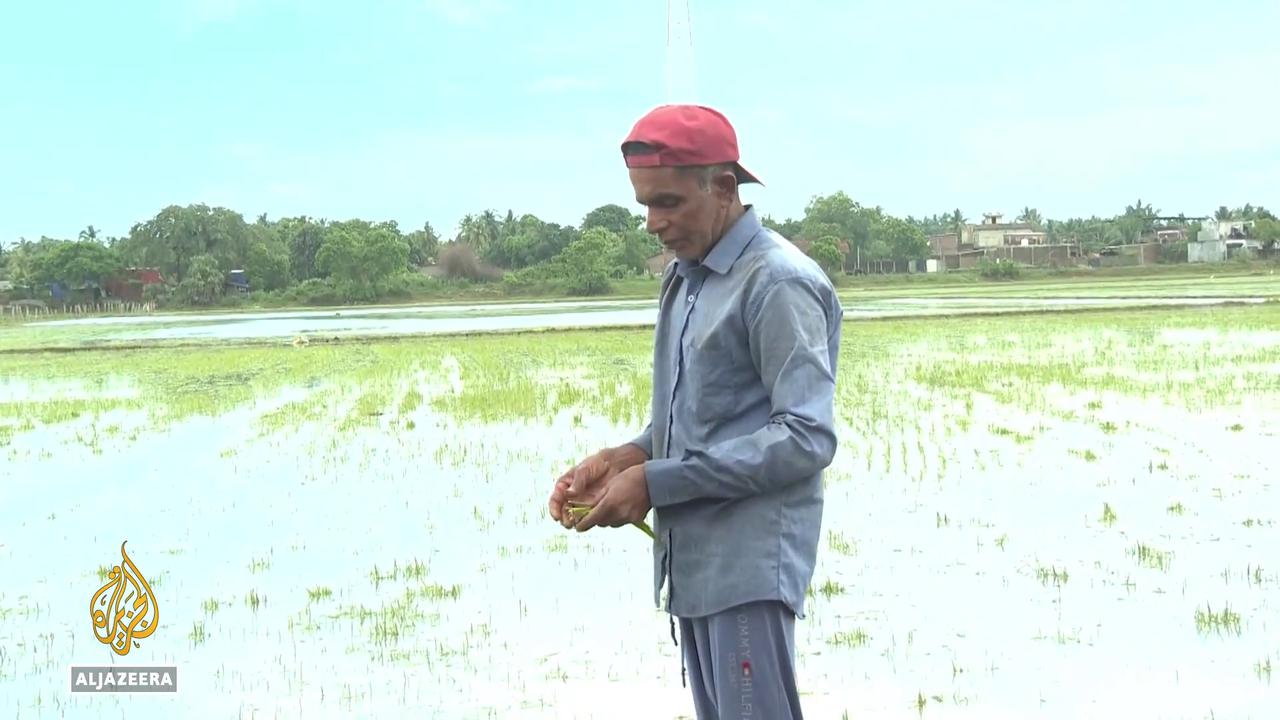 Video thumbnail for Sri Lanka Cyclone recovery: Food prices skyrocket after crop, livestock losses