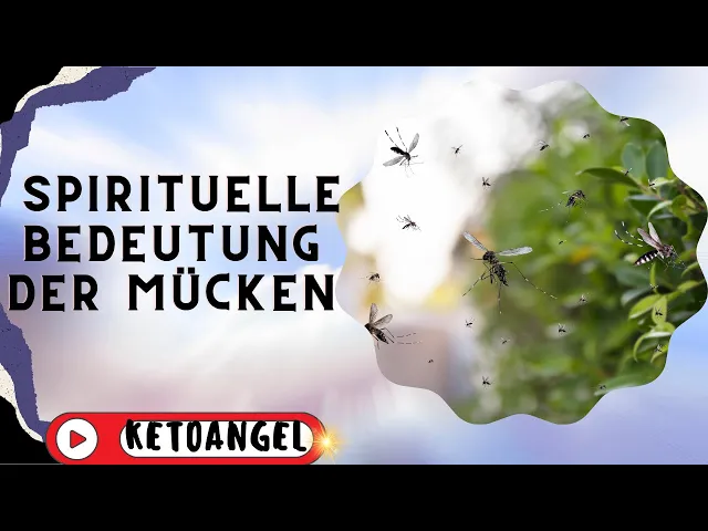 'Video thumbnail for Die spirituelle Bedeutung der Mücken: Ein Zeichen des Universums oder bloßer Zufall?'