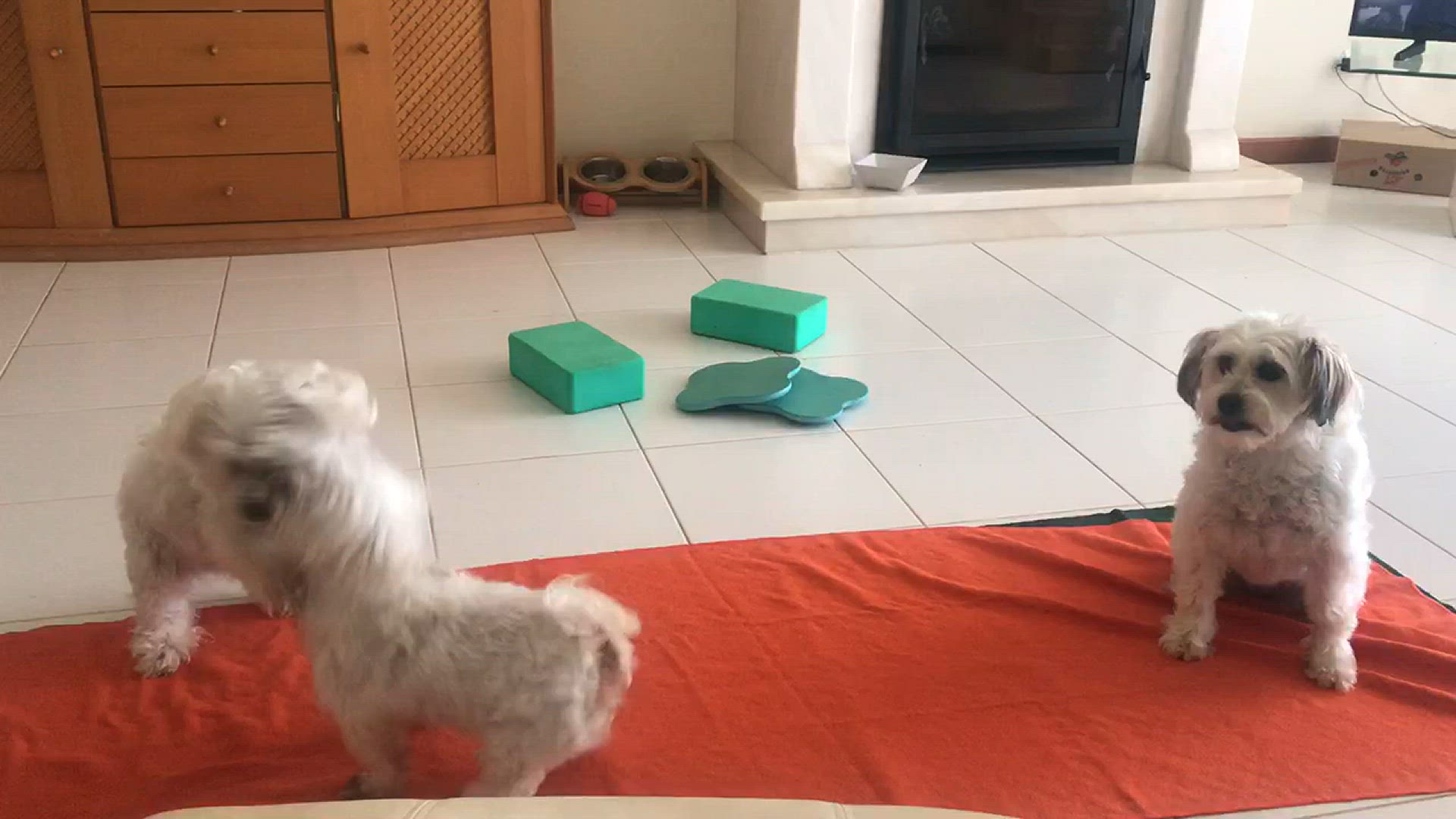 Video thumbnail for Playtime on the yoga mat