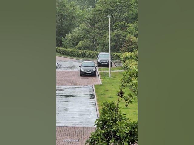 Video thumbnail for through my window #t#edenburglife lifechangingthoughts #nature #lifesolutions #rain #edenburg