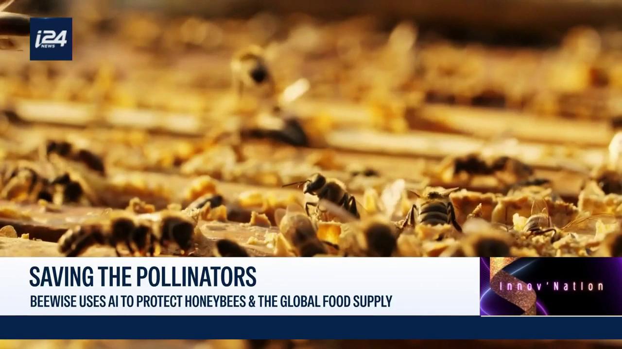Video thumbnail for Beewise uses AI to protect honeybees & the global food supply