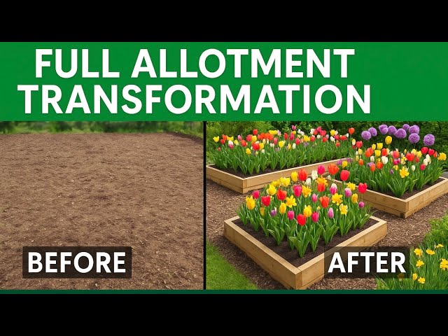Video thumbnail for 🎥 ✅ Allotment Transformation 🌿🏡 | How to Turn a Blank Plot into a Flower & Veg Haven 🌸🥕