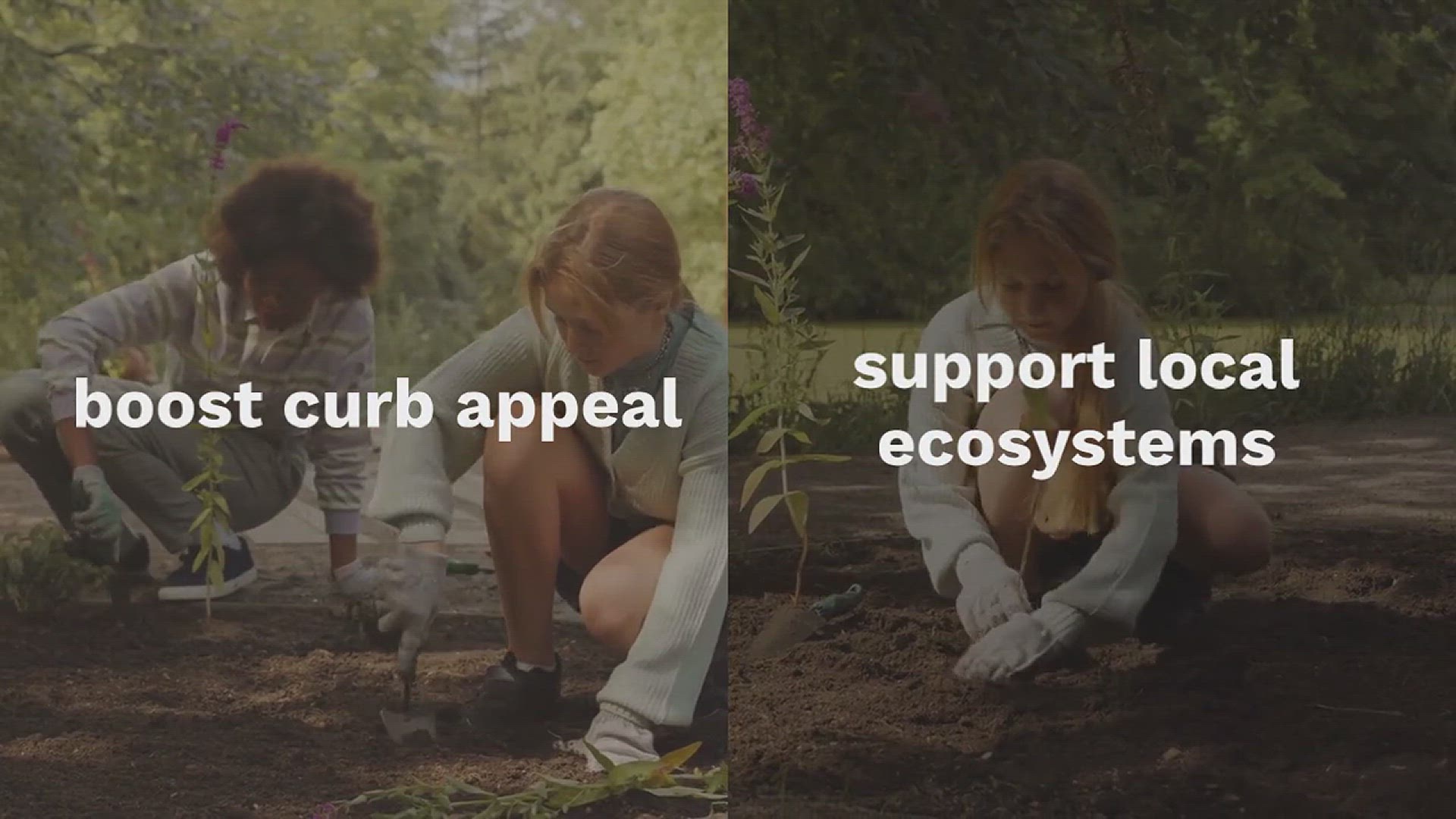 'Video thumbnail for 10 Native Plants with Curb Appeal'