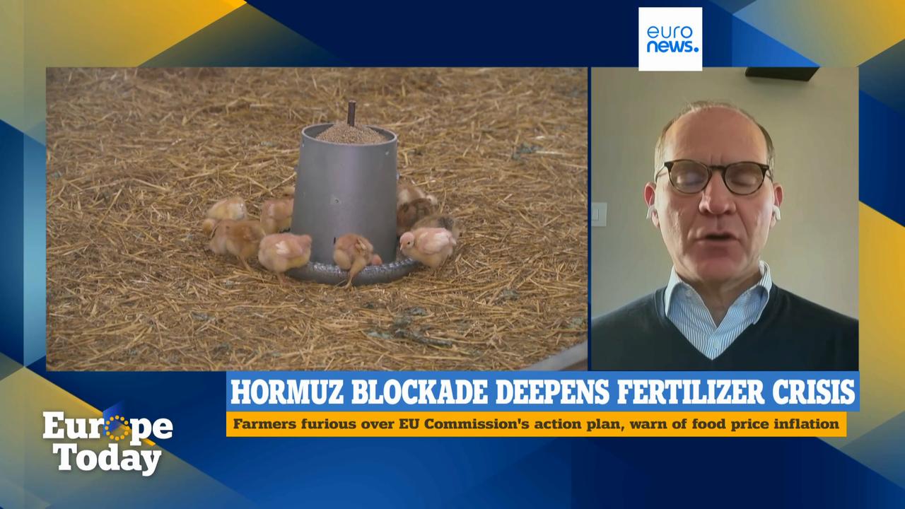 Video thumbnail for Food prices could skyrocket, if no measures taken to tackle fertilizer crisis, farmer unions warn