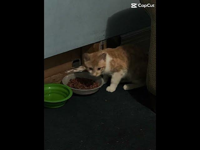 Video thumbnail for September 3, 2025