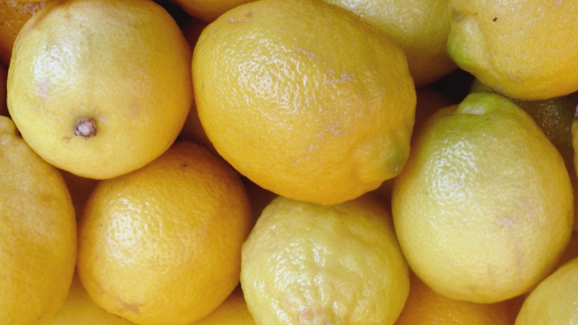 Video thumbnail for rezepte