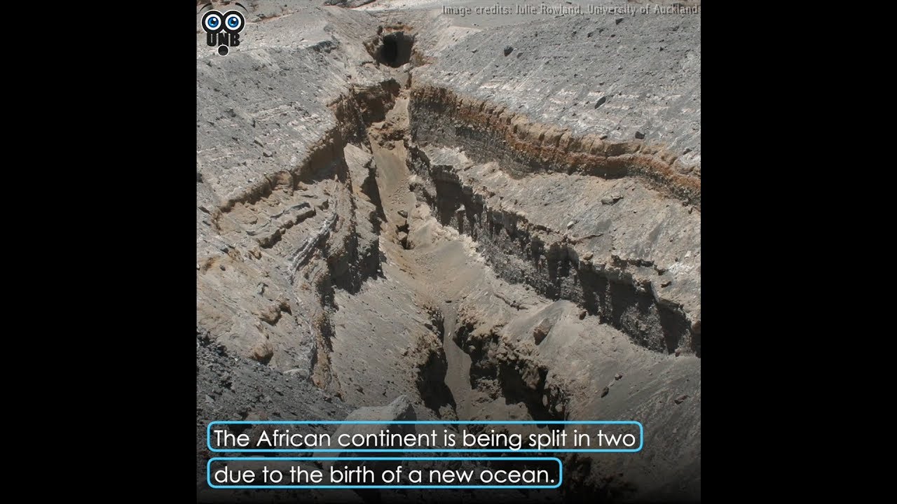 Video thumbnail for 12 Incredible Facts About the Ocean