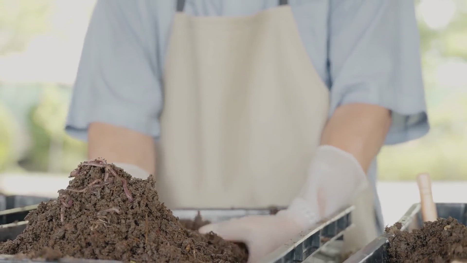 'Video thumbnail for How to Choose the Best Worms for Compost'