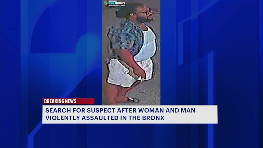 Video thumbnail for Two people stabbed, slashed in University Heights; police release images of attacker