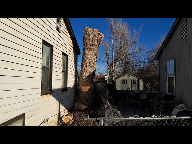 Video thumbnail for tight shot