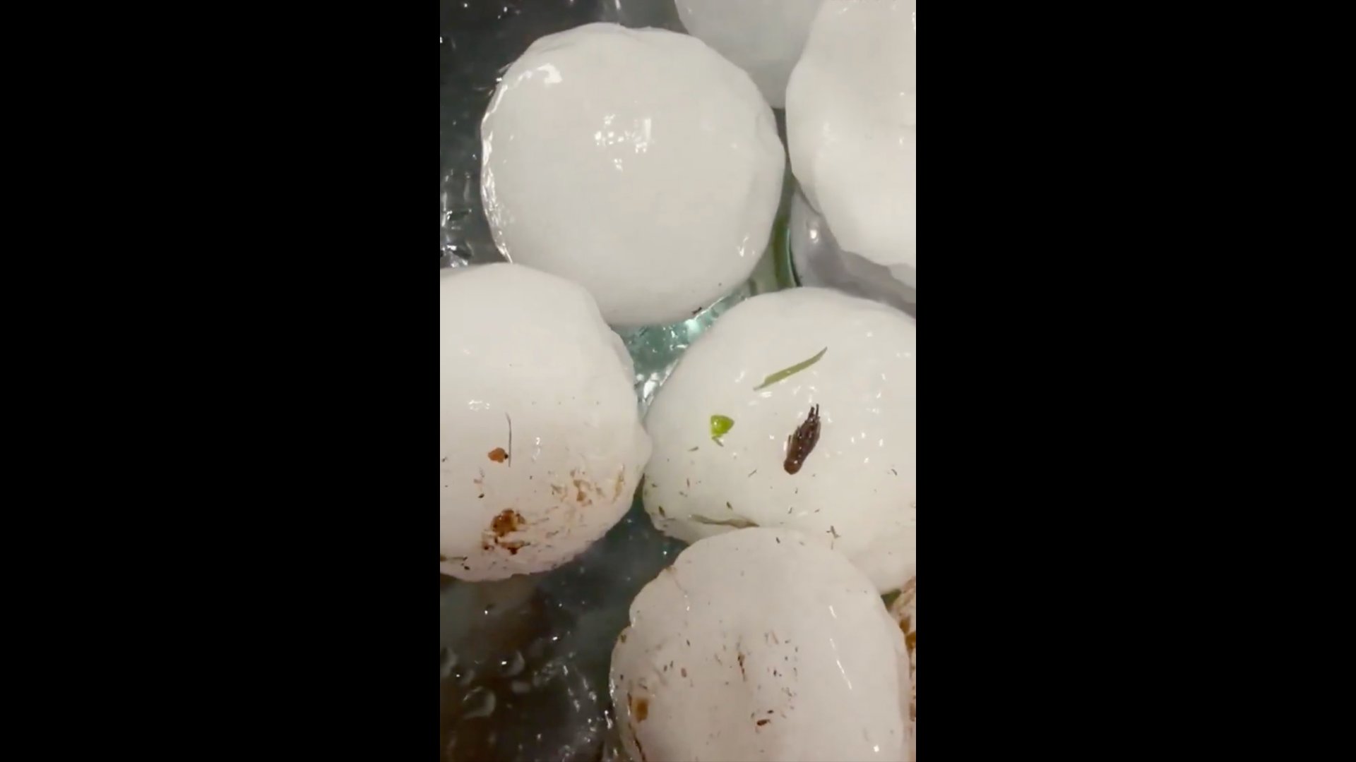 Video thumbnail for Widespread damage after huge hailstones pound Paraguay capital
