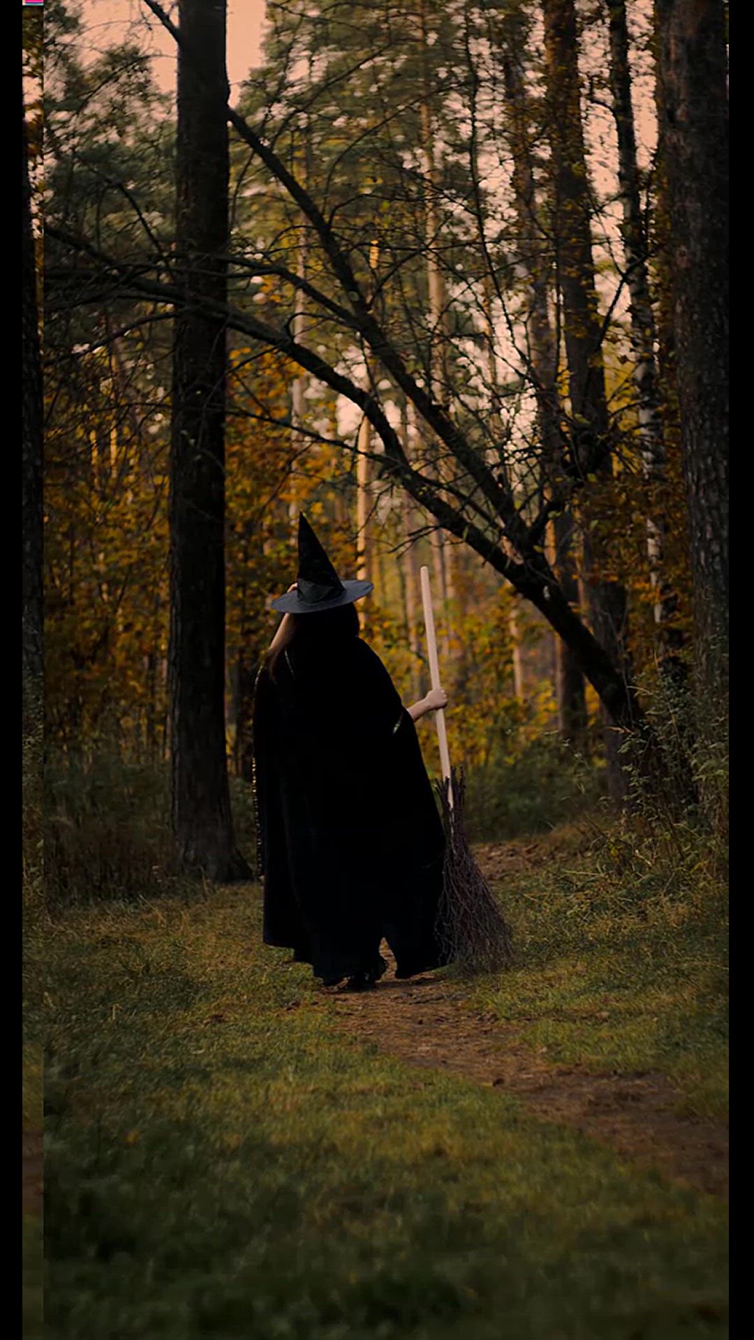 Video thumbnail for Colorful cinematic Filter for mobile Download in Desc