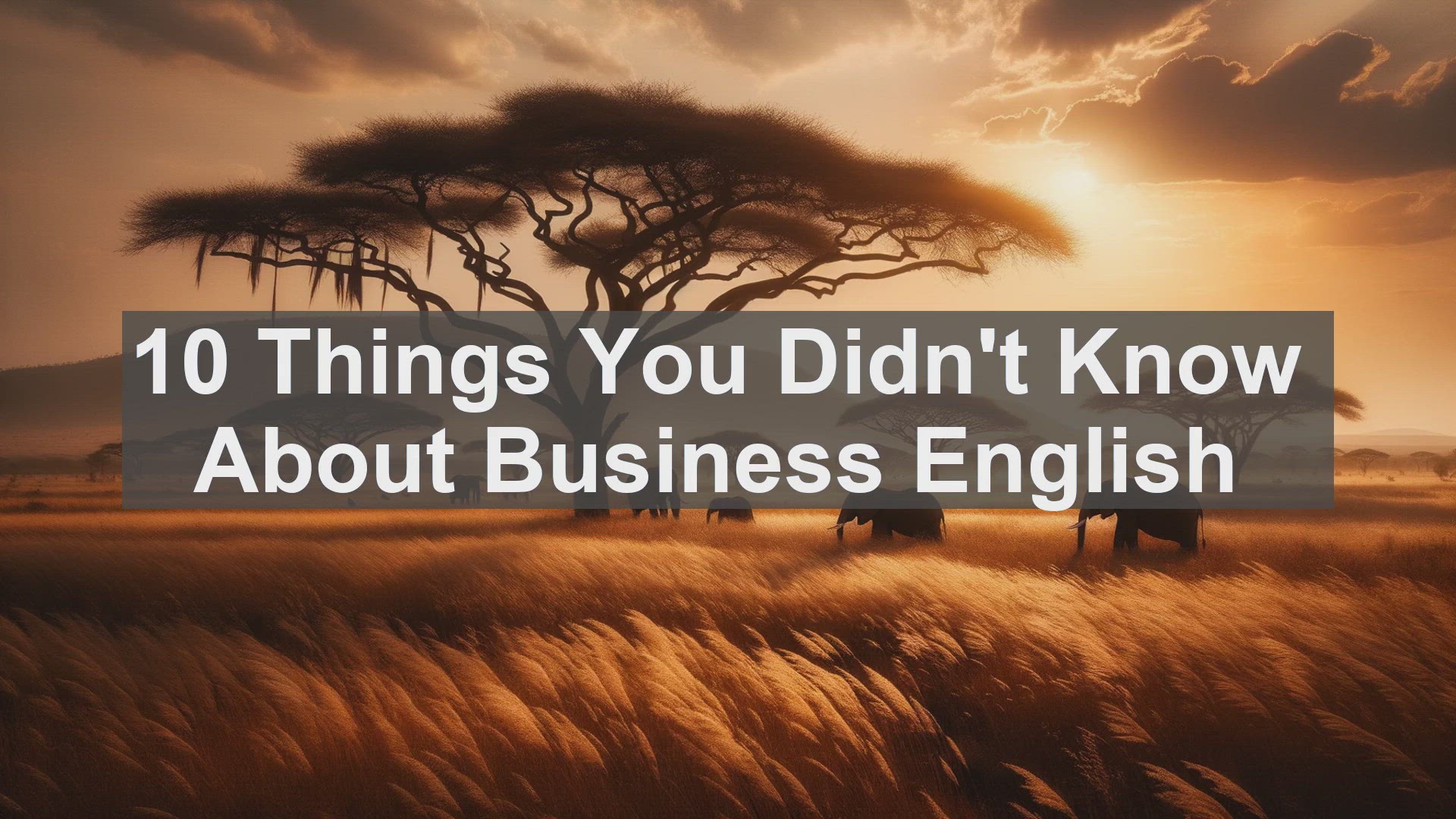 'Video thumbnail for 10 Things You Didn't Know About Business English '