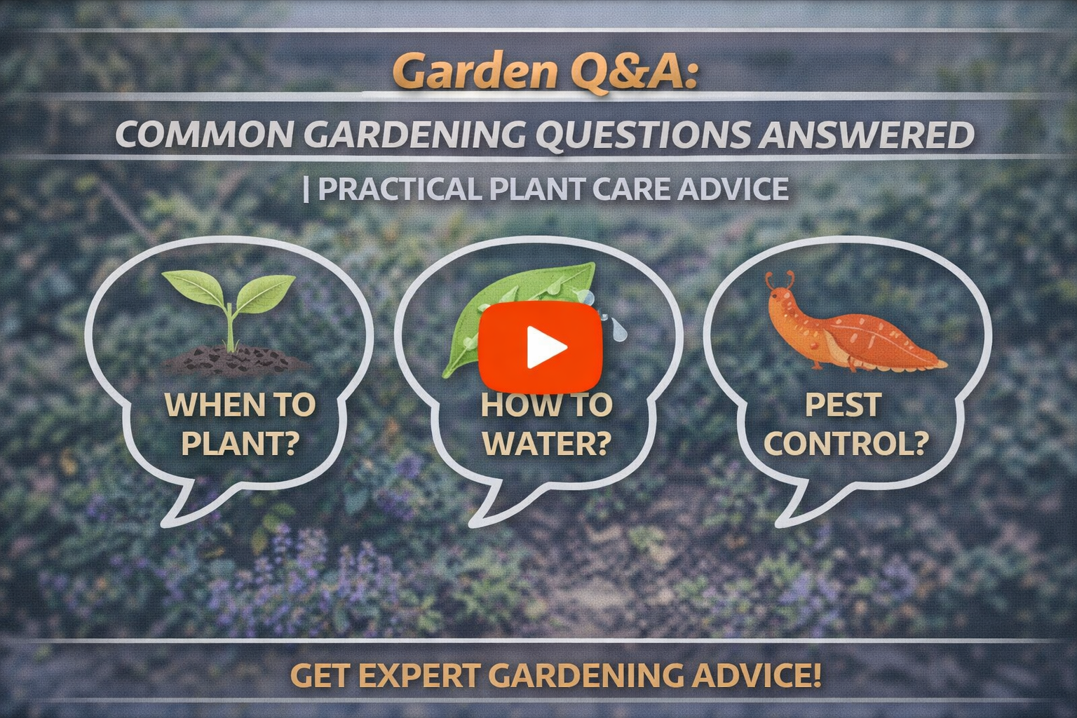 Video thumbnail for Garden Q&A: Common Gardening Questions Answered | Practical Plant Care Advice