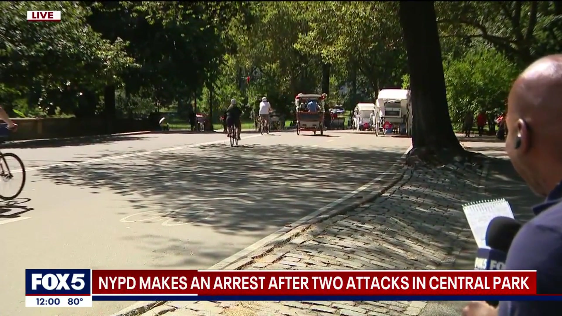 'Video thumbnail for Central Park attacks leave two men injured, police say'