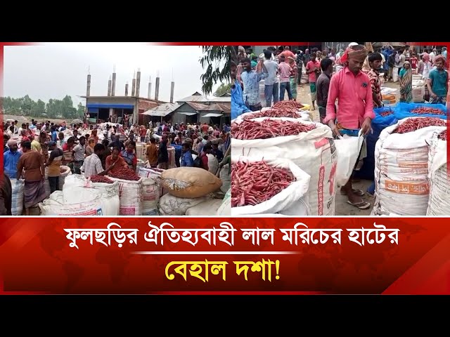 Video thumbnail for ফুলছড়ির ঐতিহ্যবাহী লাল মরিচের হাটের বেহাল দশা! | Gaibandha | Janakantha
