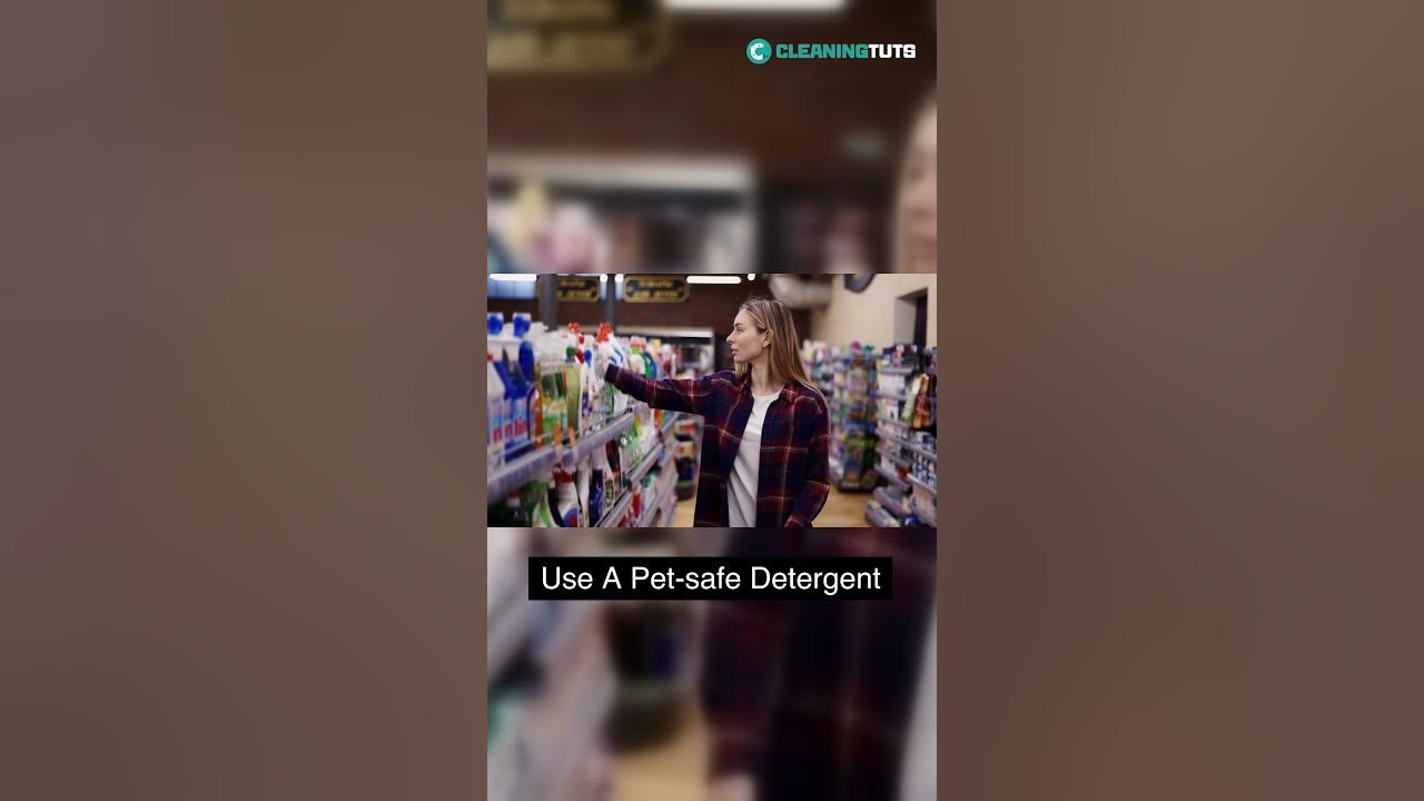 Video thumbnail for Can You Wash Your Dog Bed at Laundromat? | #shorts