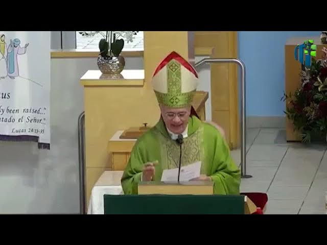 Video thumbnail for Homilía de monseñor Silvio Báez XVIII Domingo TO, 11 octubre 2026 parábola del banquete de bodas