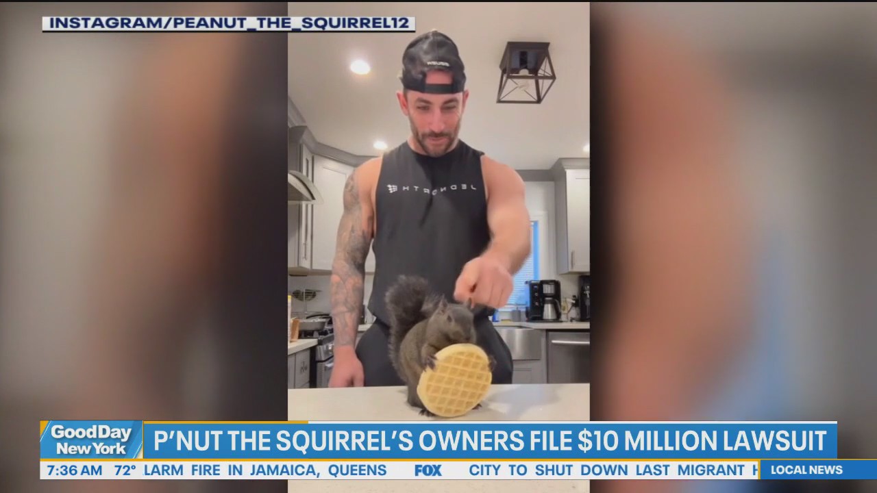 'Video thumbnail for P'nut the squirrel's owner files $10M lawsuit'