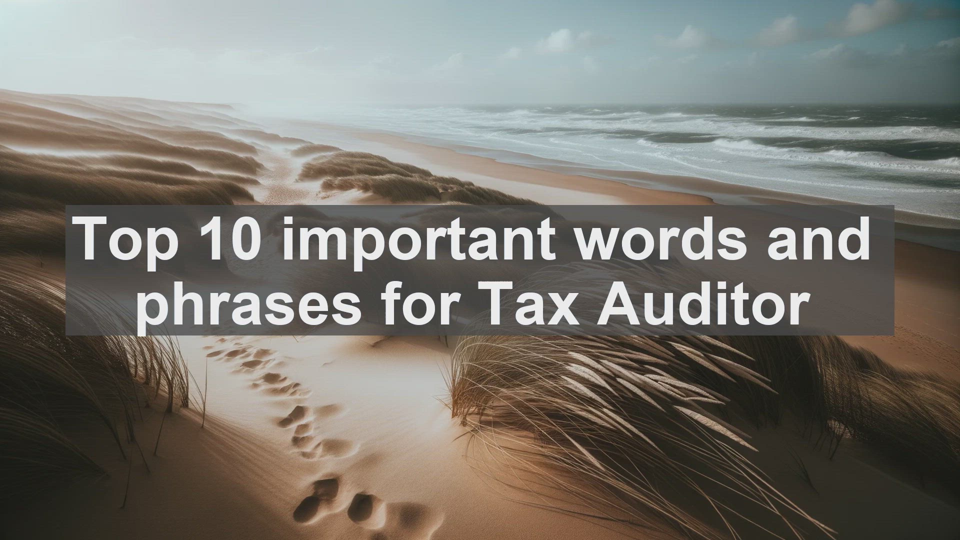 'Video thumbnail for Top 10 important words and phrases for Tax Auditor'
