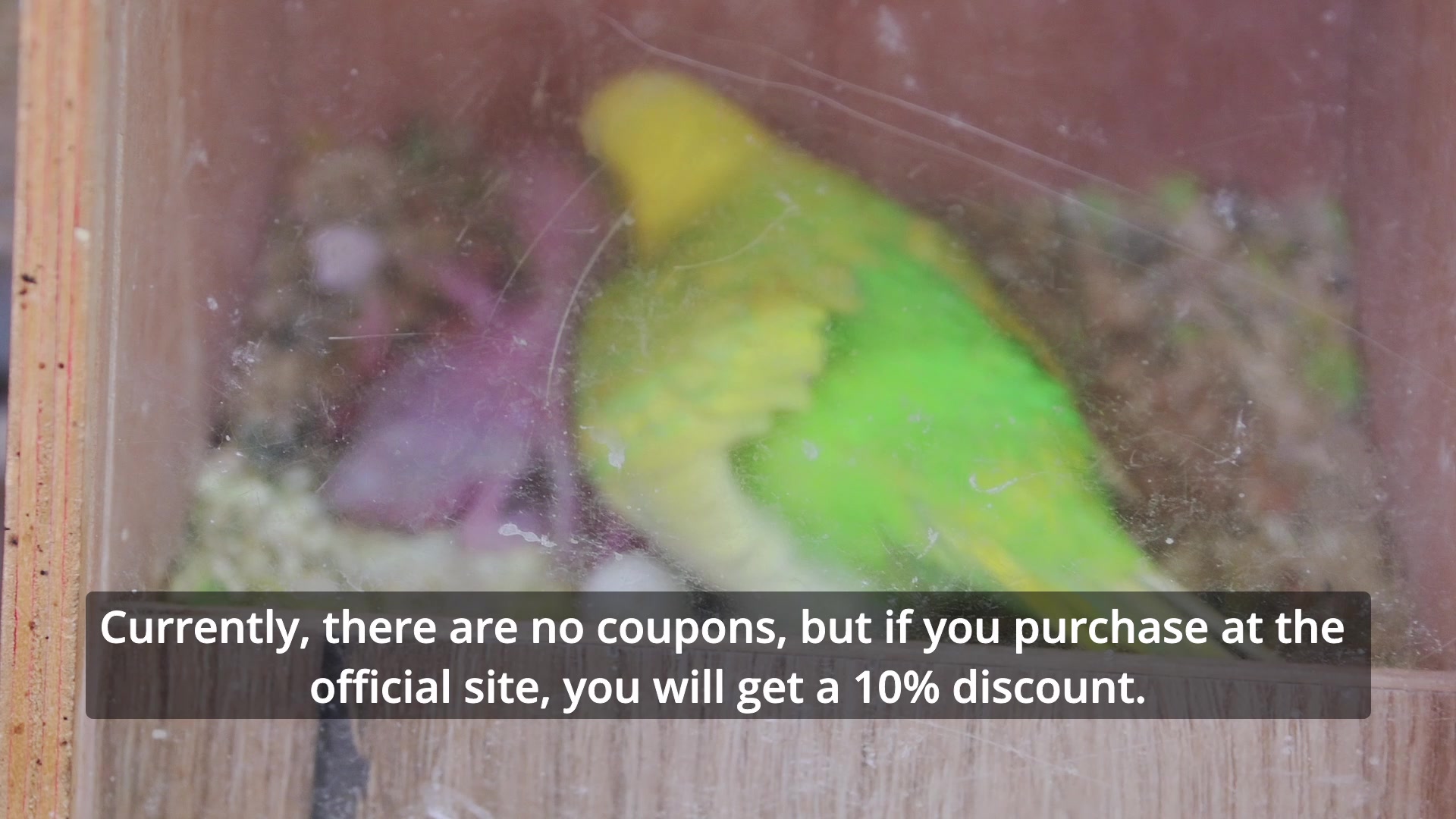 'Video thumbnail for Parrot Farm in Kfar Hess'