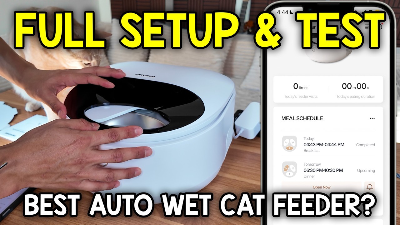 Video thumbnail for Everything To Knoaw About The PETLIBRO Automatic Wet Food Cat Feeder