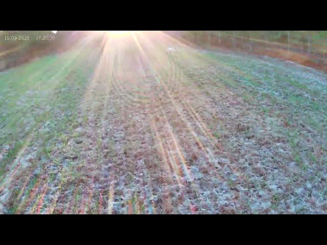 Video thumbnail for November 12, 2025