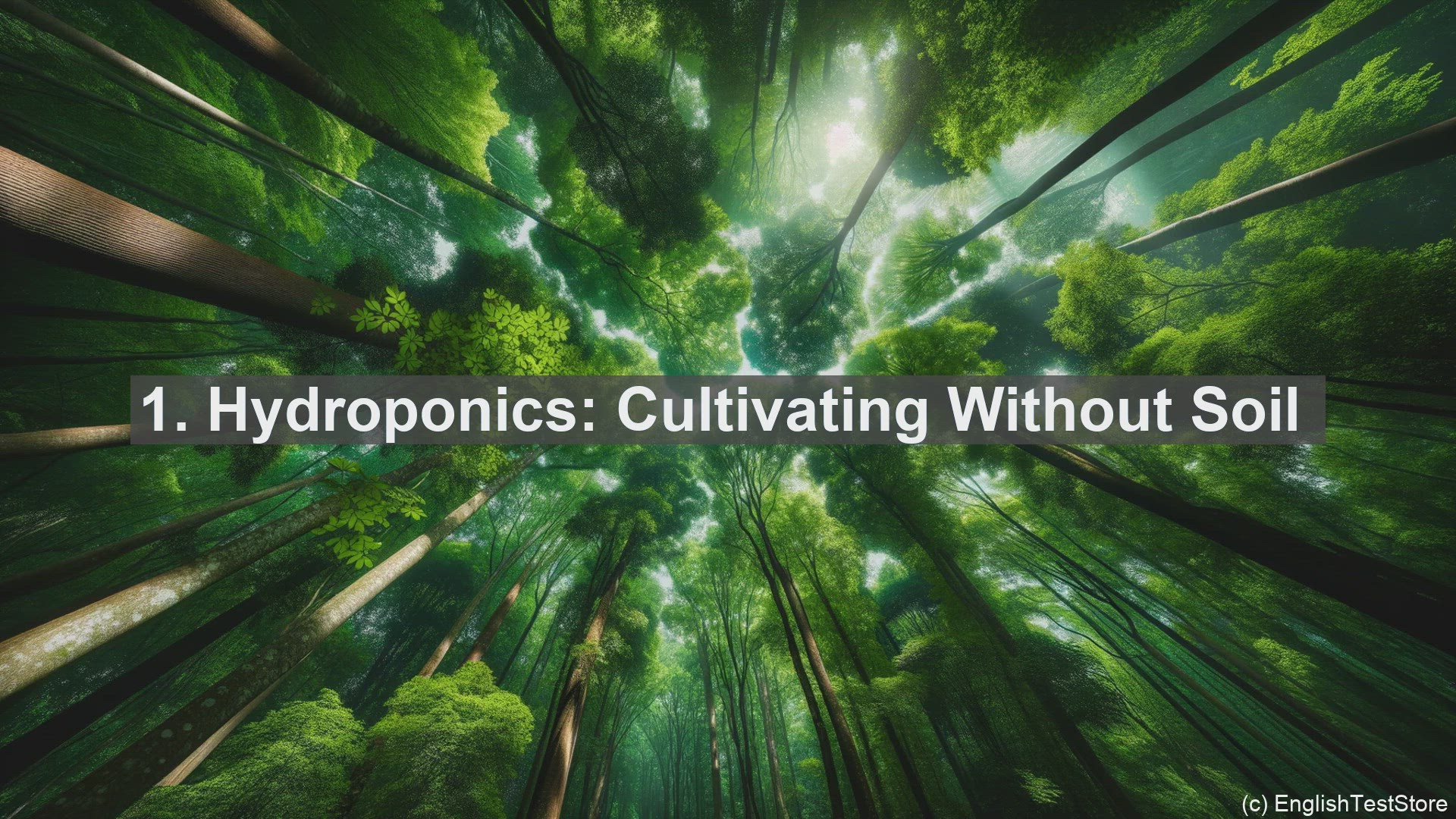 'Video thumbnail for Top 10 Key Terms for Discussing Urban Farming Innovations'