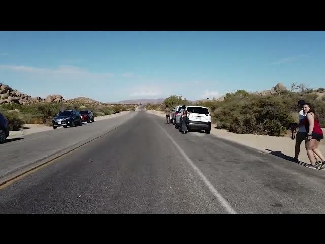 'Video thumbnail for cars video 6'