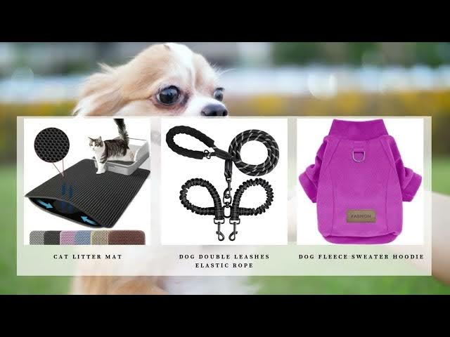 Video thumbnail for Charlotte's Pet Boutique - Commercial