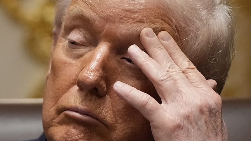 Video thumbnail for Trump freezes all immigration applications from 19 countries