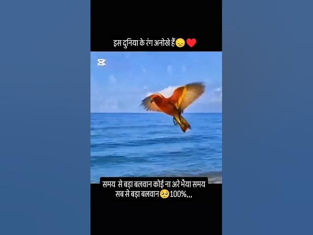 Video thumbnail for Samay se taqatwar koi nahi #reality #motivation