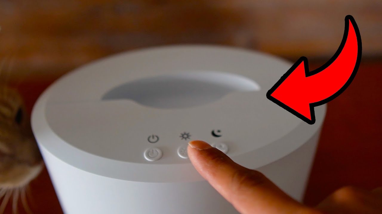Video thumbnail for What To Expect With The Gocheer Dehumidifer