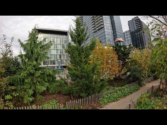 'Video thumbnail for Beautiful Pigeon Hiding in Shrubs - Martin's Park SEAPORT Boston 4K'