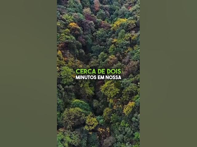 Video thumbnail for A verdade sobre minha experiência de quase morte: uma revelação pessoal #experienciadequasemorte