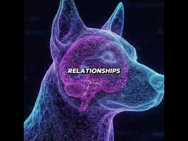 Video thumbnail for Have you ever wondered why your dog would still recognize you even after years apart?