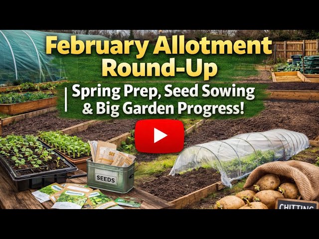 Video thumbnail for February Allotment Round-Up | Spring Prep, Seed Sowing & Big Garden Progress!