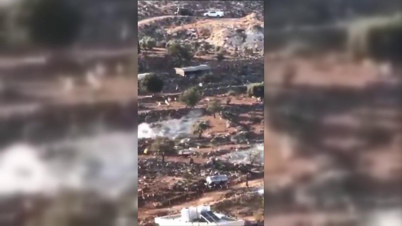Video thumbnail for Israeli Forces Fire Tear Gas at Palestinian Livestock in West Bank.