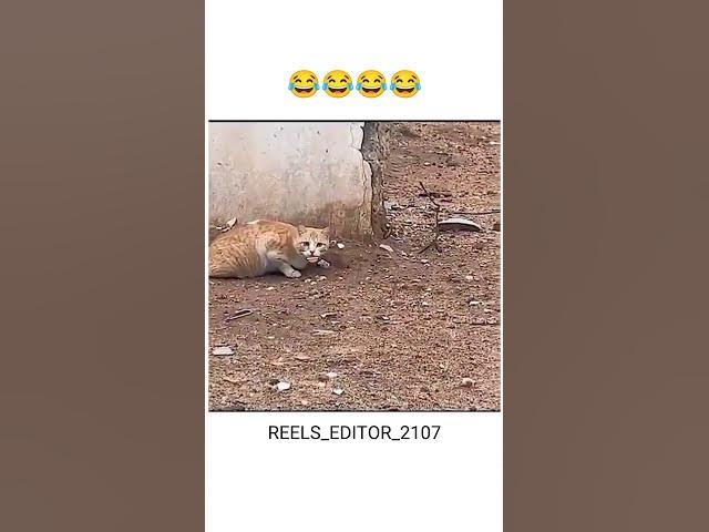 Video thumbnail for #funny #trending #viralvideo #comedy #funnymemes